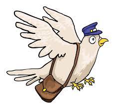 Carrier Pigeon