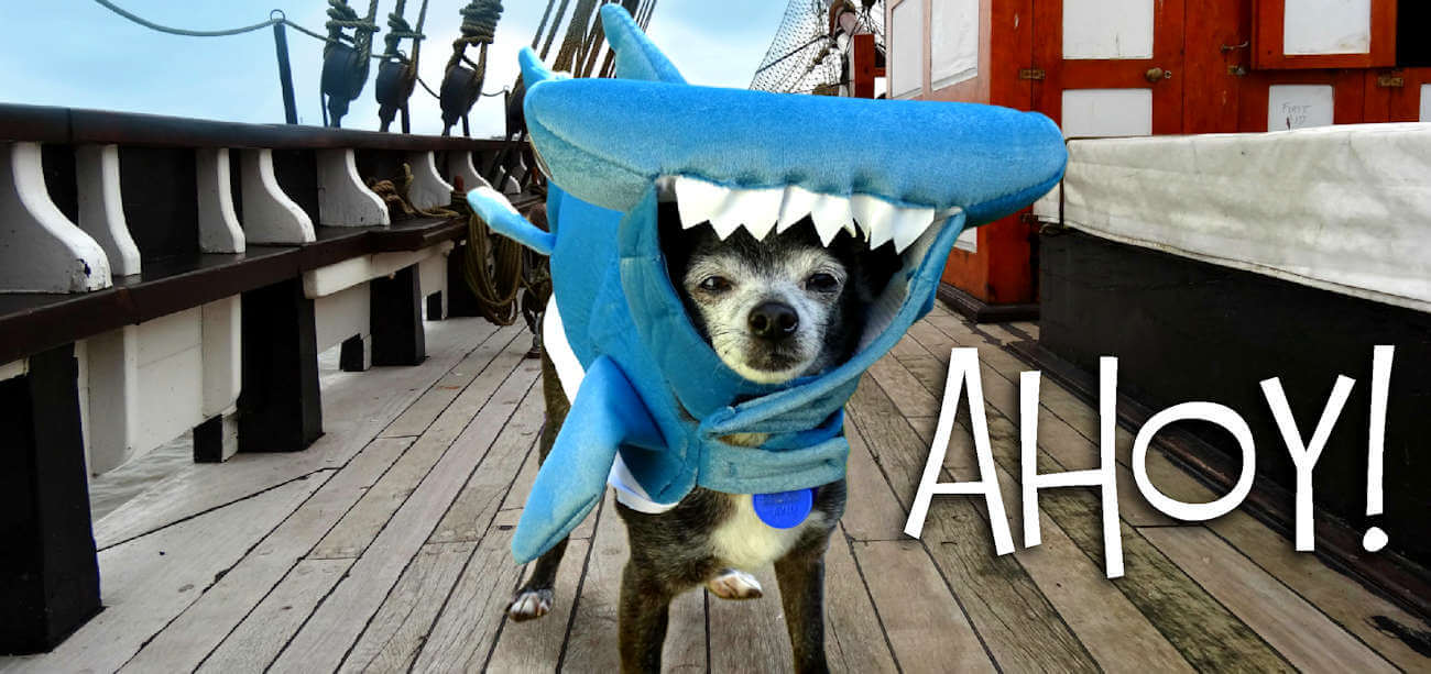 Cap'n Jim's Mate Cheecho