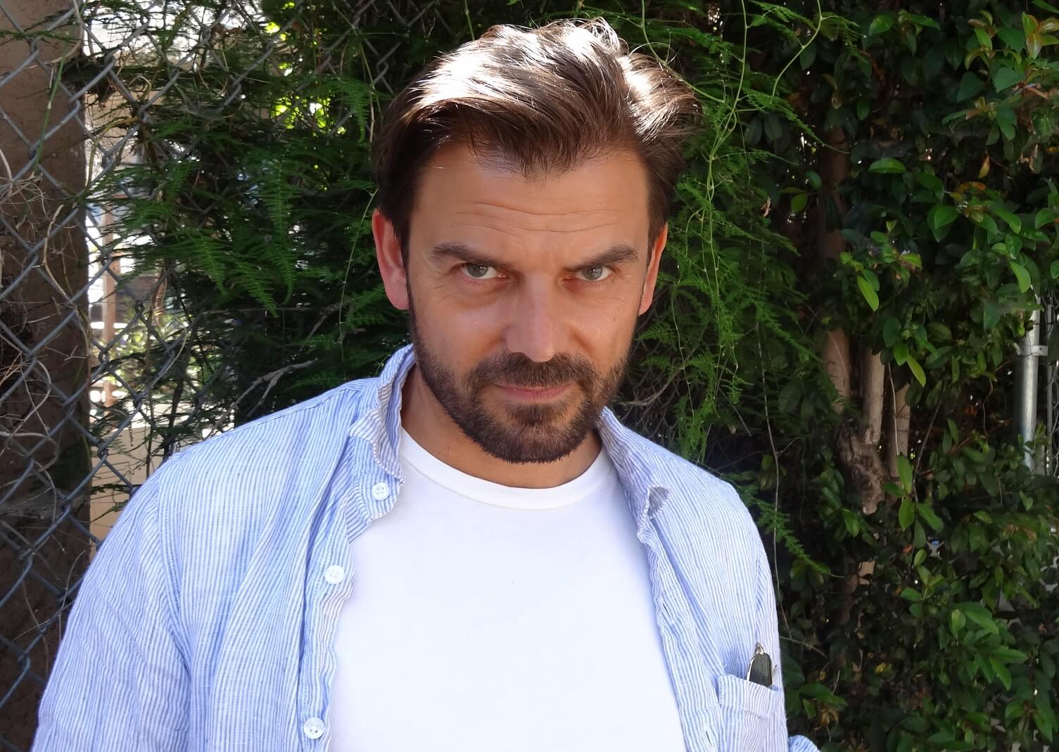Blackbeard For Men Dark Brown